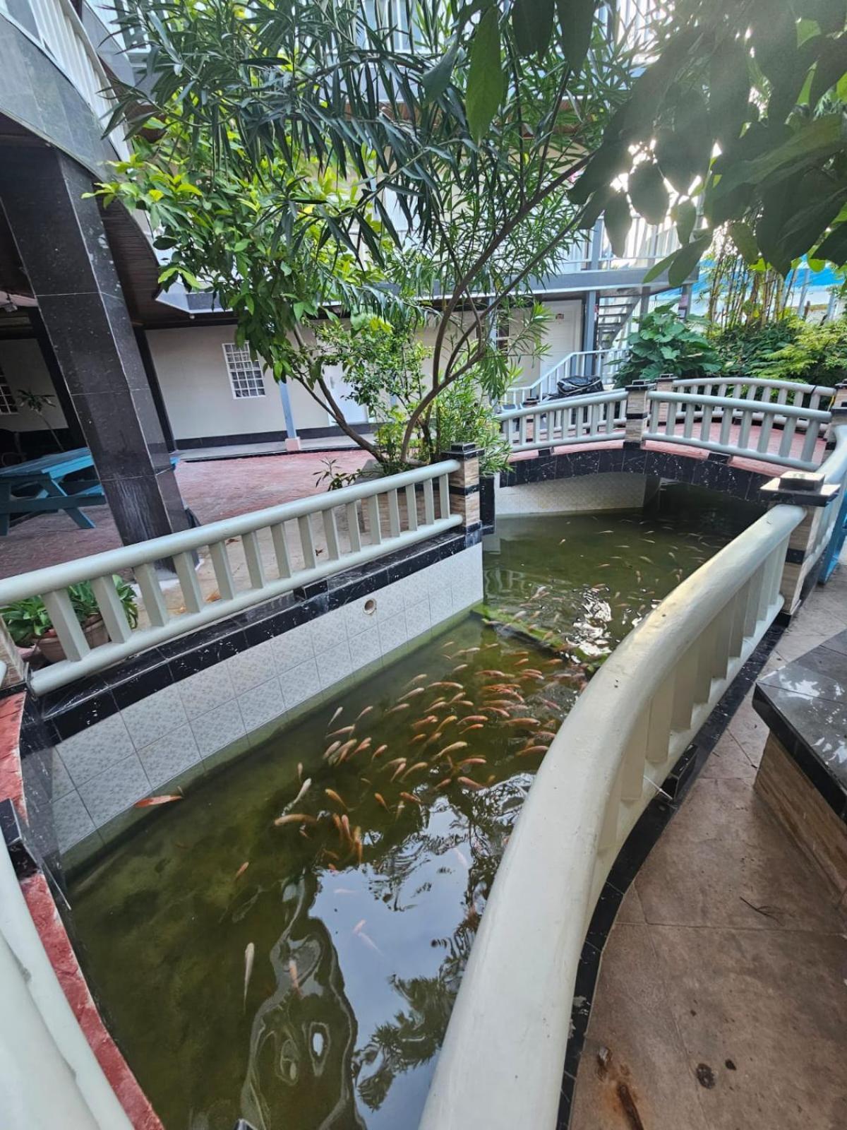 קיי קולקר China Town Hotel מראה חיצוני תמונה