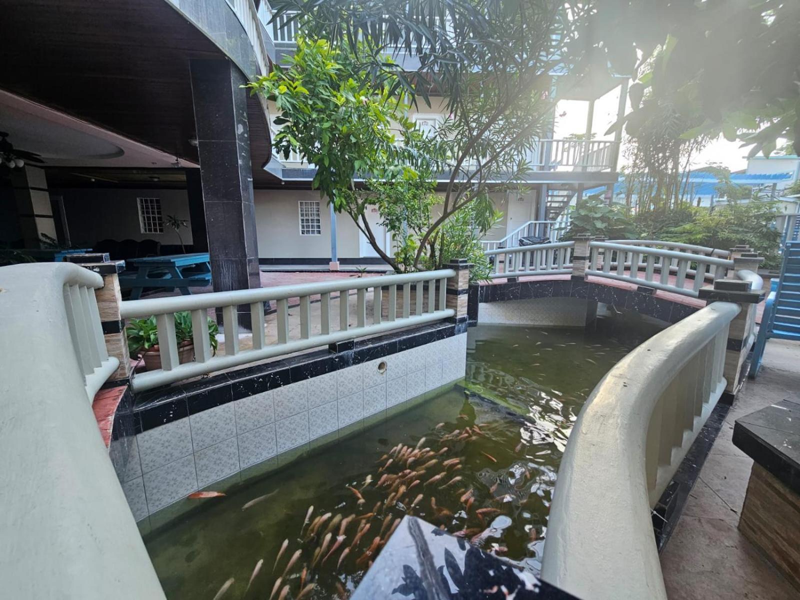 קיי קולקר China Town Hotel מראה חיצוני תמונה
